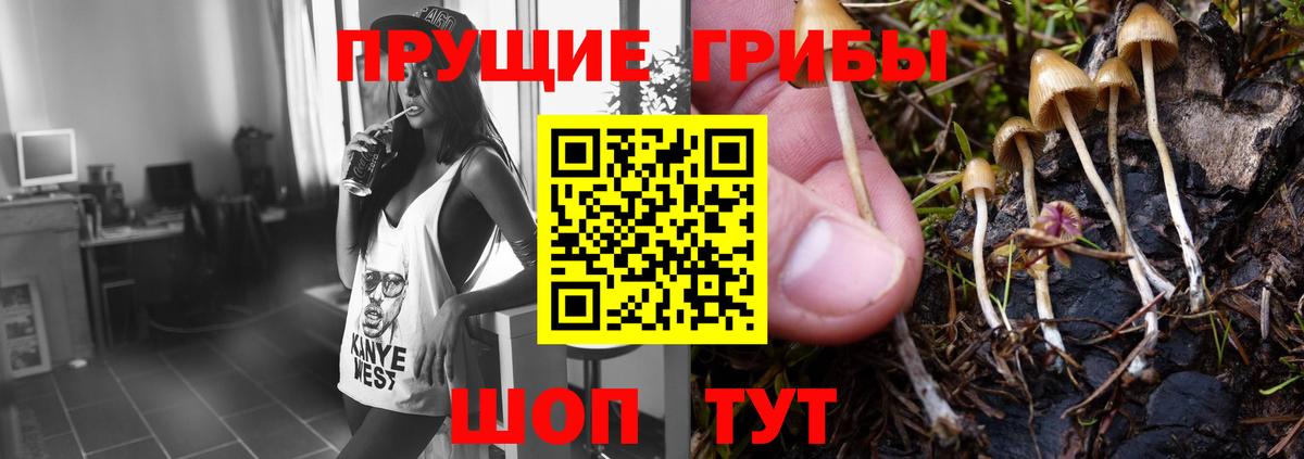 Дзержинск  Галлюциногенные грибы мухоморы  Вход с VPN  Псилоцибиновые грибы мицелий 